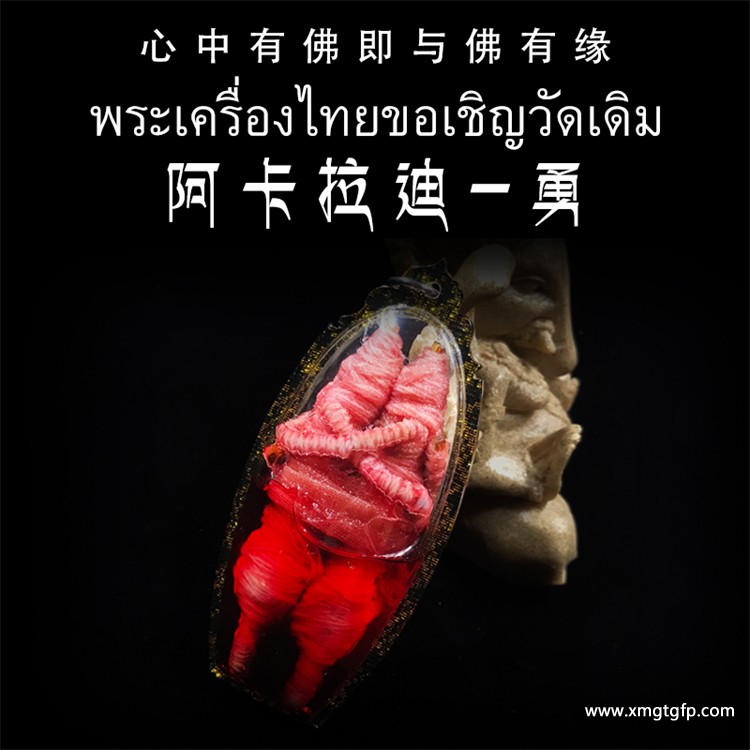 泰国佛牌知识之给供阴牌善信的五个建议