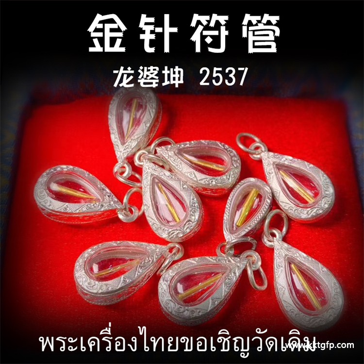 龙婆坤 金针符管 龙婆坤 金针符管 (2).jpg